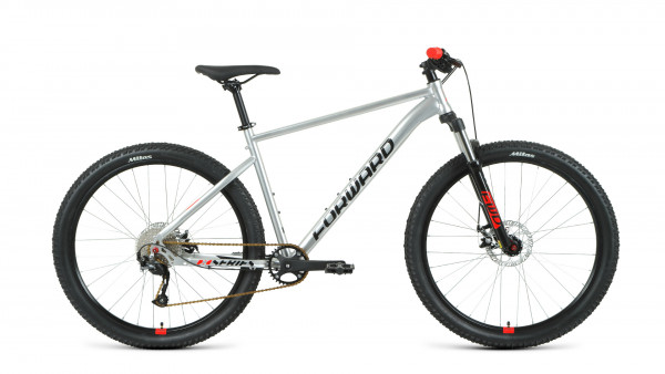 SPORTING 27,5 XX D (2022)